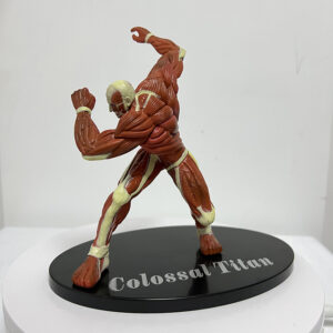 Attack On Titan Figures – Colossus Titan Attack Figure